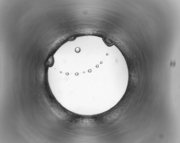 X0000093090304200710241206