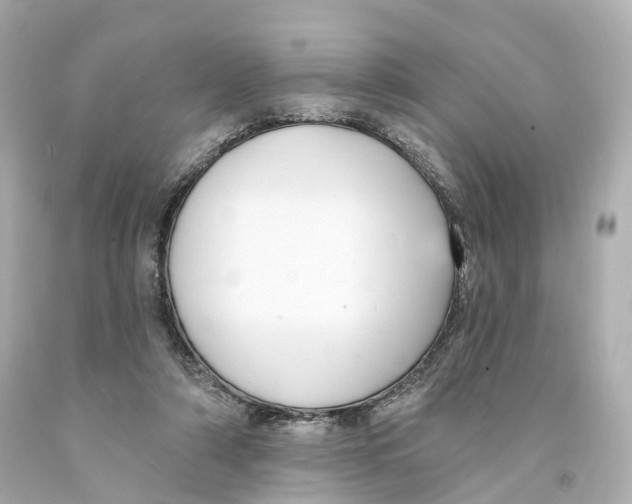 X0000093090306200710241206