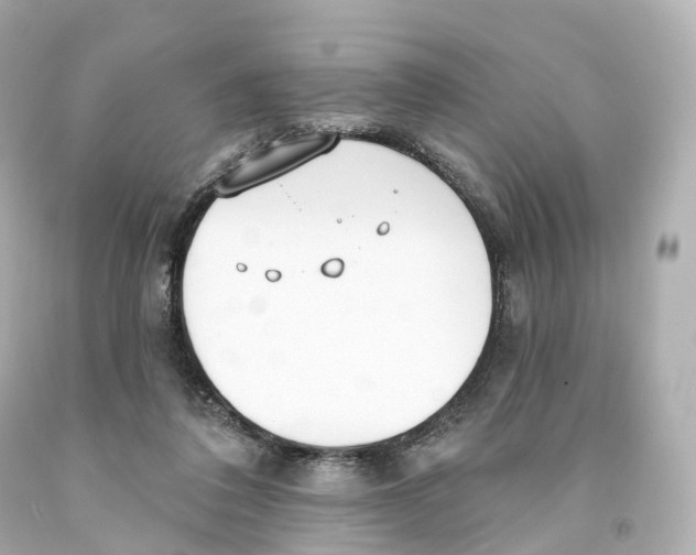 X0000093090308200710241206