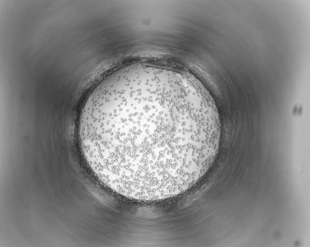 X0000093090309200710241206
