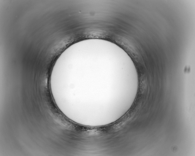 X0000093090310200710241206