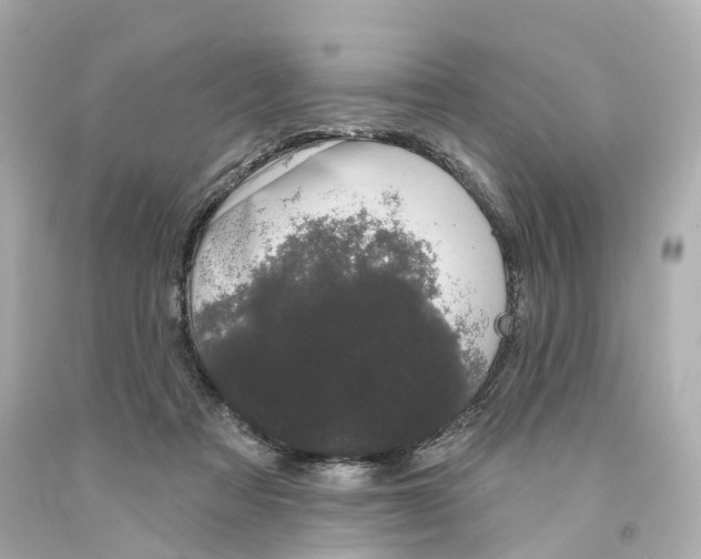 X0000093090313200710241206