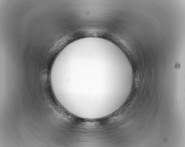 X0000093090314200710241206