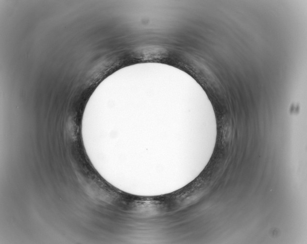 X0000093090316200710241206