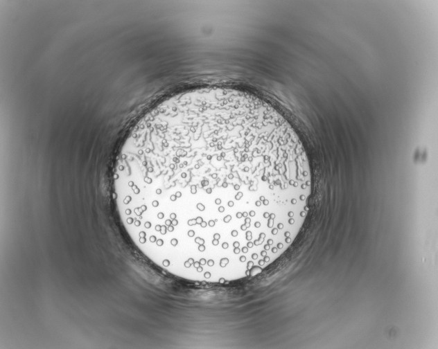 X0000093090317200710241206