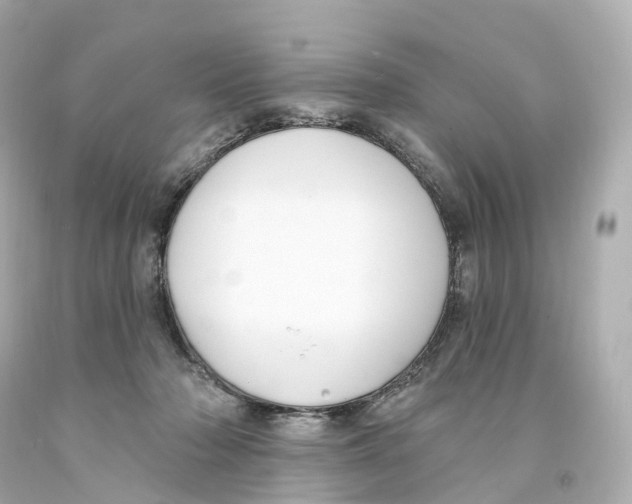 X0000093090318200710241206