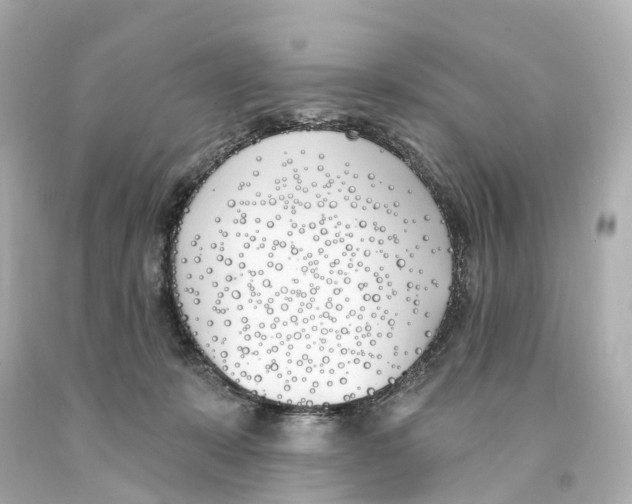 X0000093090319200710241206