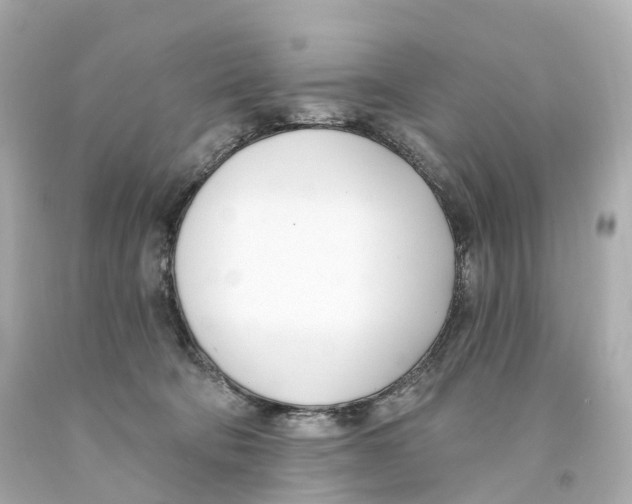 X0000093090322200710241206