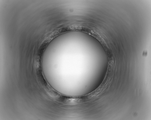 X0000093090323200710241206