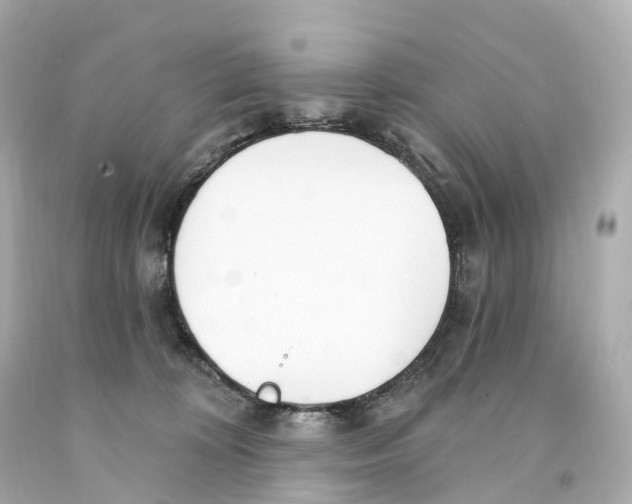 X0000093090324200710241206