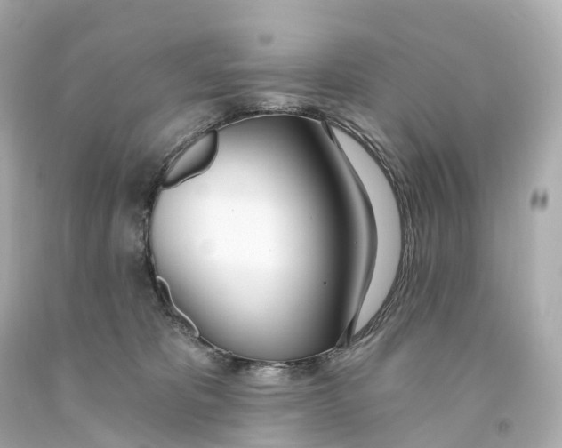 X0000093090325200710241206