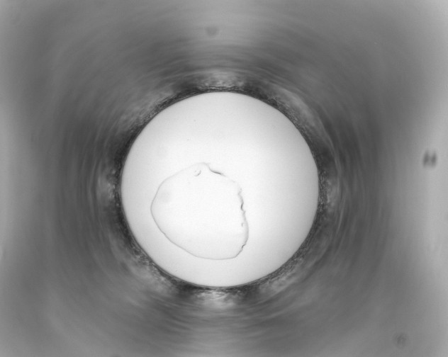 X0000093090326200710241206