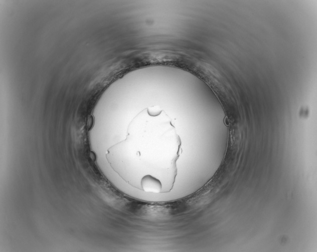 X0000093090327200710241206