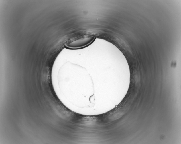 X0000093090328200710241205