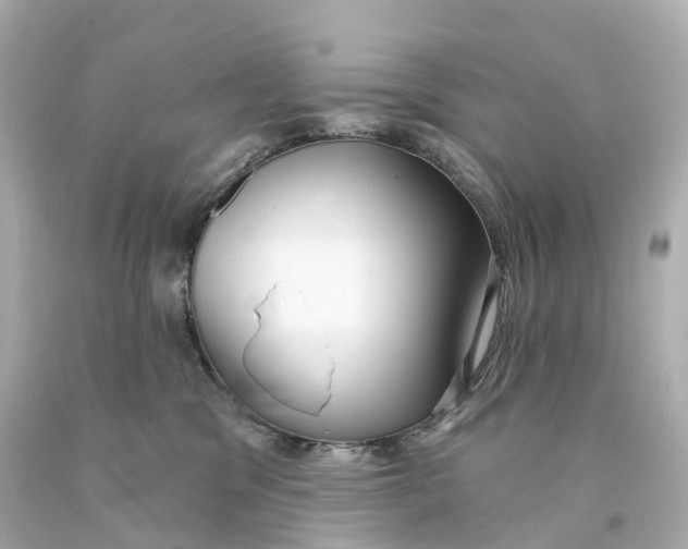 X0000093090329200710241205