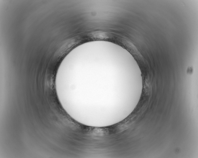 X0000093090330200710241205