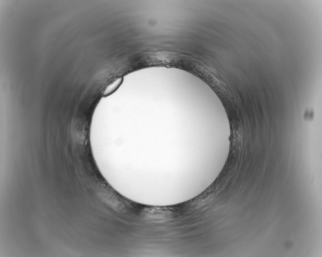 X0000093090331200710241205