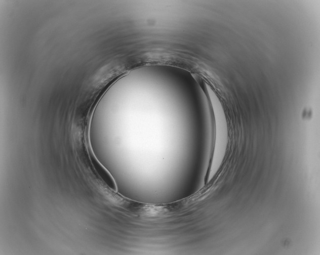 X0000093090333200710241205