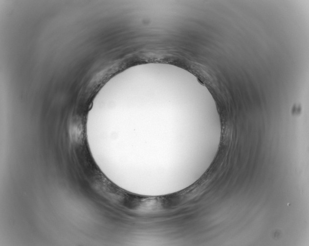 X0000093090335200710241205