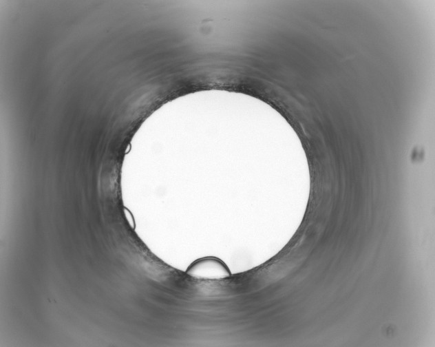 X0000093090336200710241205