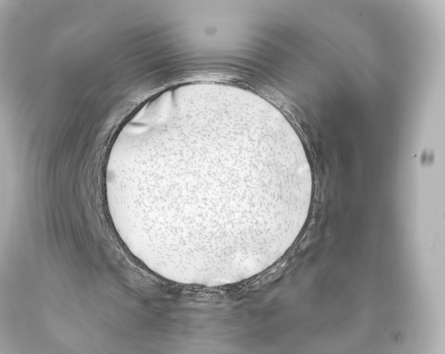 X0000093090337200710241205