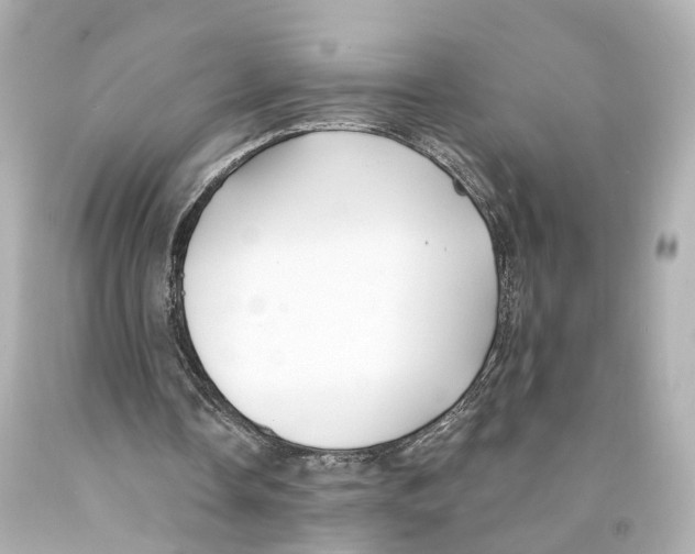 X0000093090338200710241205