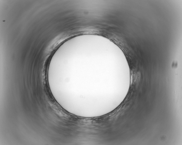 X0000093090339200710241205