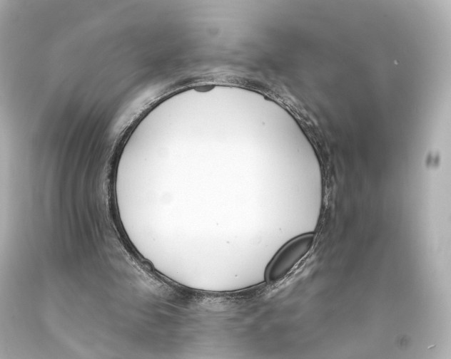 X0000093090341200710241205