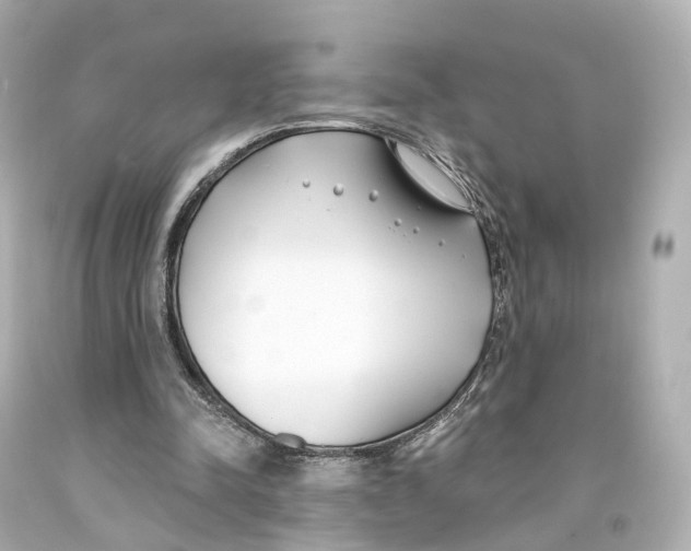 X0000093090342200710241205