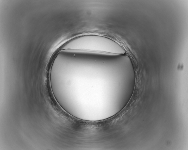 X0000093090344200710241205