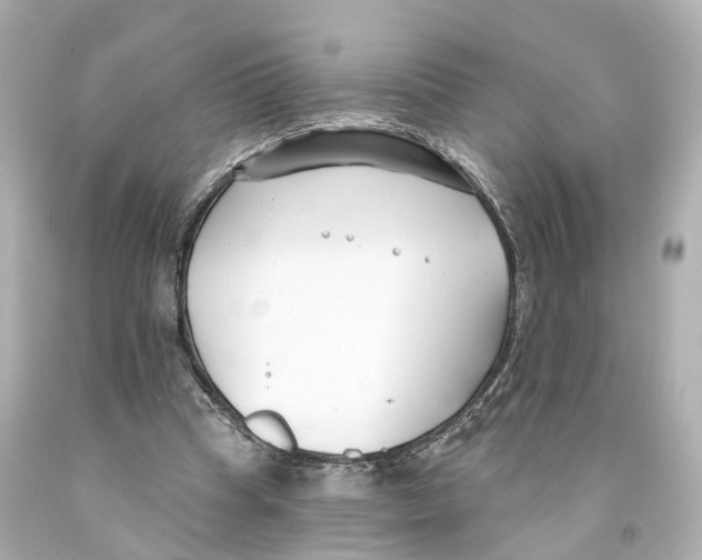 X0000093090345200710241205