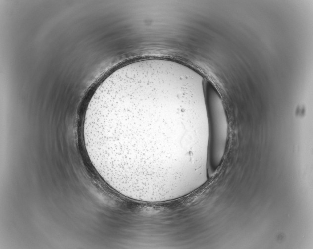 X0000093090346200710241205