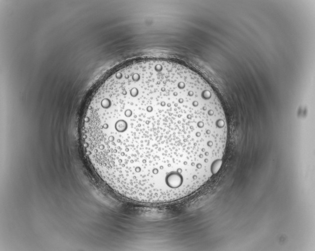 X0000093090347200710241205