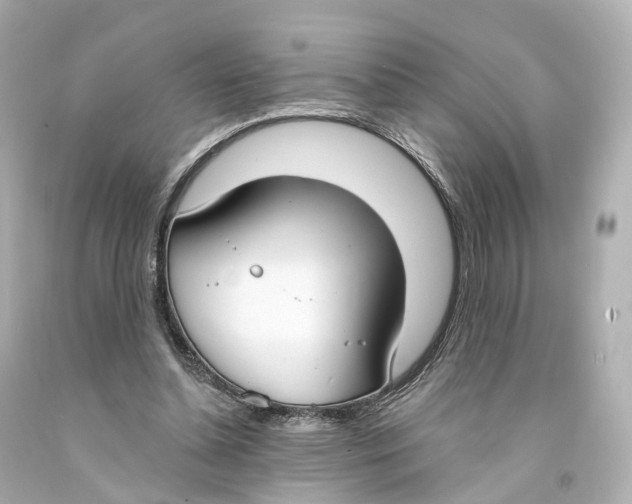 X0000093090348200710241205