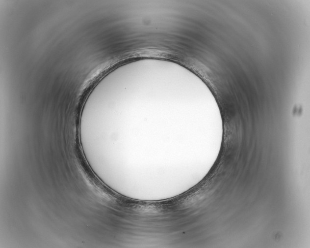 X0000093090349200710241205