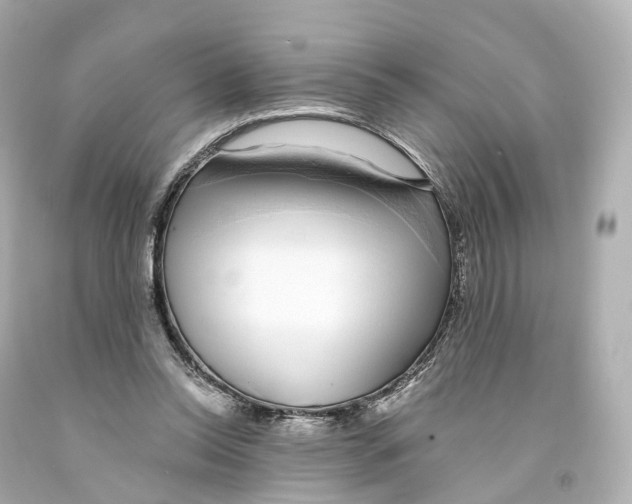 X0000093090350200710241205