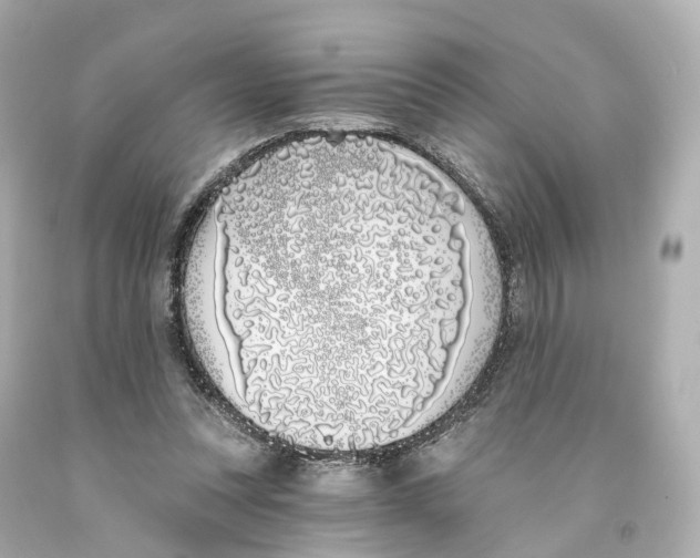 X0000093090351200710241205
