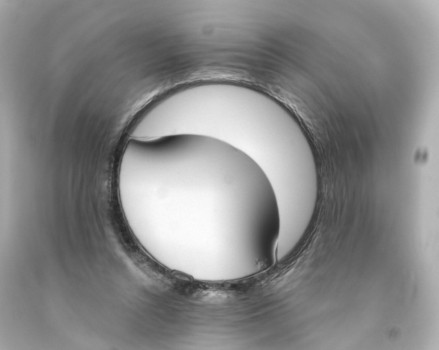 X0000093090352200710241205
