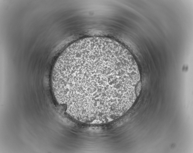X0000093090353200710241205