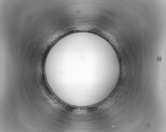 X0000093090354200710241205
