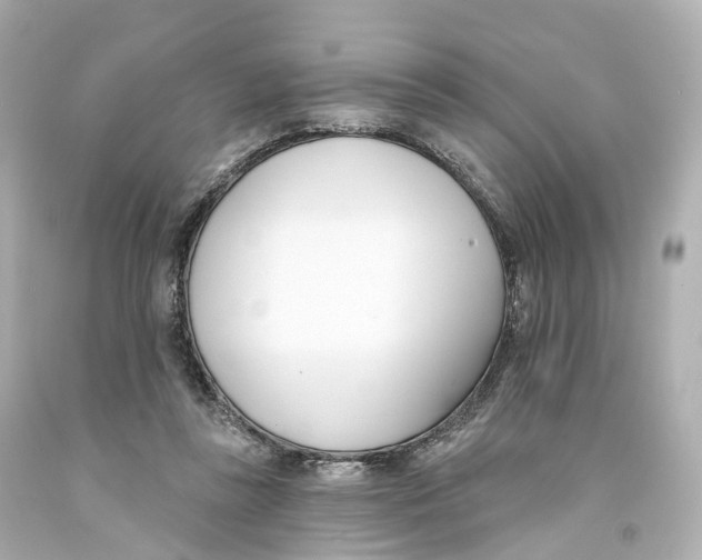 X0000093090355200710241205