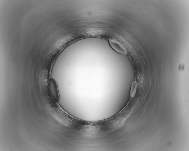 X0000093090356200710241205