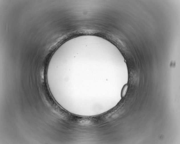 X0000093090358200710241205