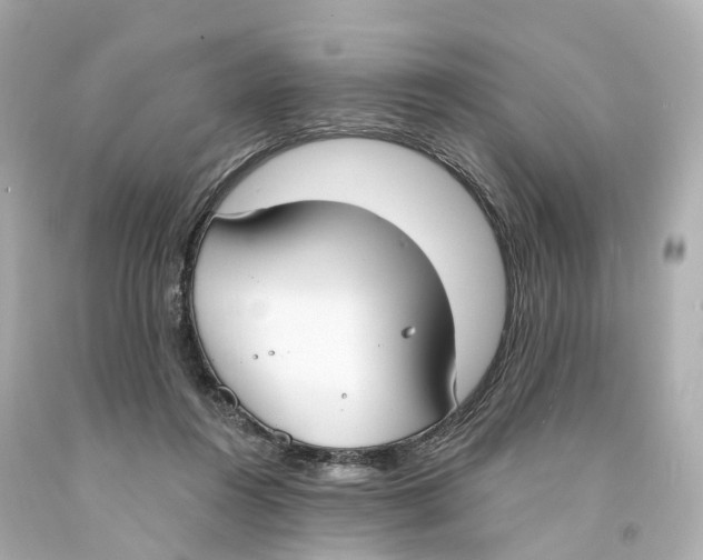X0000093090360200710241205