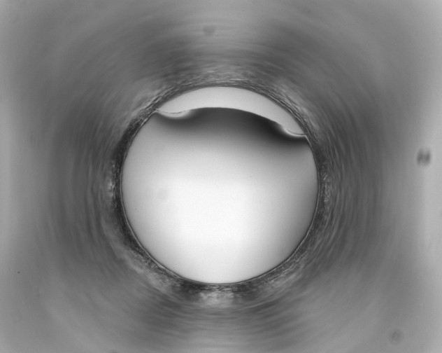 X0000093090362200710241205