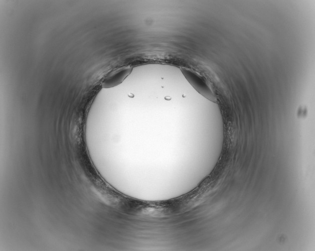 X0000093090364200710241205