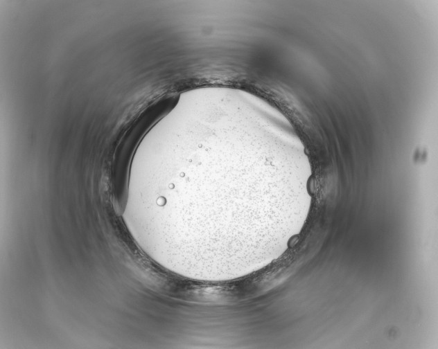 X0000093090365200710241205