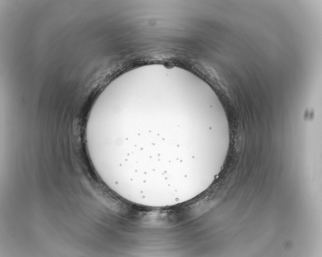 X0000093090366200710241205