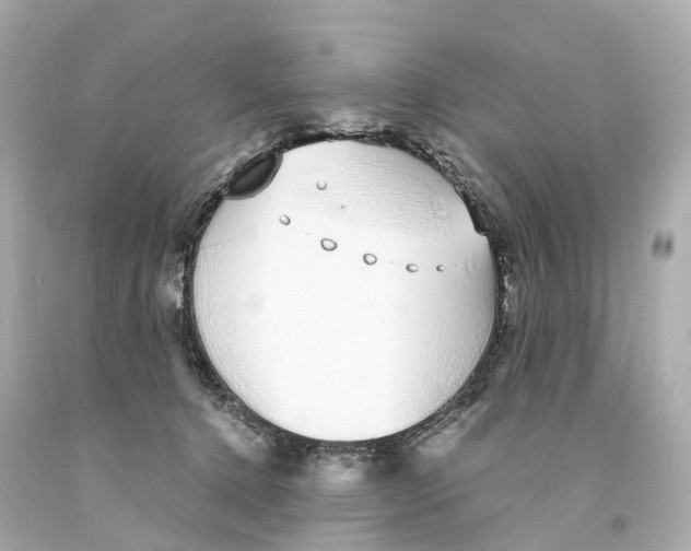 X0000093090368200710241205