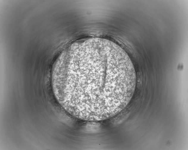 X0000093090369200710241205